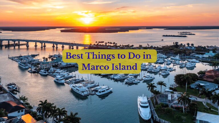 Best Things to Do in Marco Island