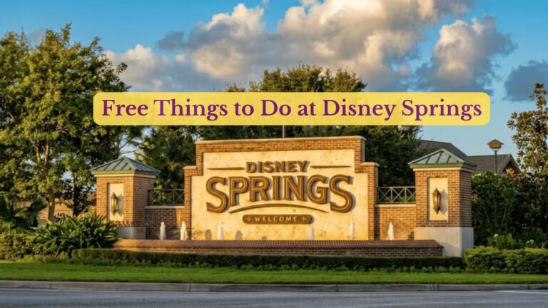 Free Things to Do at Disney Springs