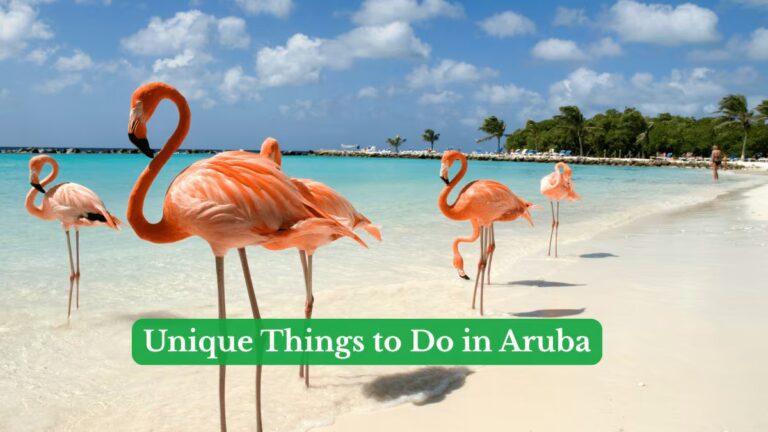 Unique Things to Do in Aruba